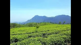 Ooty | Hill Station of Tamil Nadu #incredibleindia