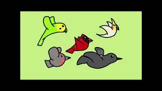 Avians Flying