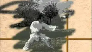 3ra Rutina Chang quan 1 DAT