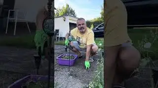 Keine Erbe keine Streit