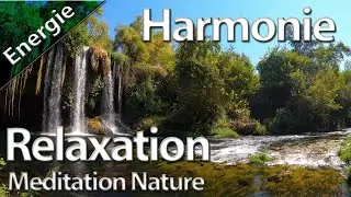 Meditation ,Relaxation,Energie pour l'equilibre du corps et de l'esprit.Joie de vivre et nature