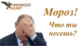 Короткое пояснение к стриму.