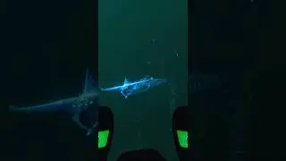 Ой #subnautica #games #leviathan #gost #ghostleviathan