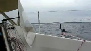Albin Alpha Milou Autopilot på slör 100618