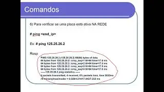Linux estrutura básica e comandos de rede
