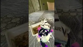 Смачный дэнс на фоне моей галереи
