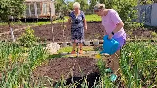 ДачныйРемонт 2.0 ч.39 /ЗАГОТОВКИ НА ЗИМУ🥬/ДЕЛА ДАЧНЫЕ👩🏼‍🌾/СЕМЬЯ ИЗ САМАРЫ