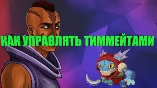 КАК УПРАВЛЯТЬ ТИММЕЙТАМИ