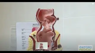 Кабинет проктолога в Оксфорд Медикал Кривой Рог