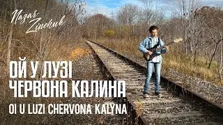 Ой у Лузі Червона Калина | Oi u Luzi Chervona Kalyna, cover by Nazar | 2022