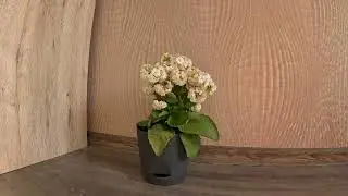 Статичная съемка на GoPro HERO10  Угол обзора широкий
