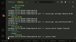 Learning SaltStack 2.0 - Grains
