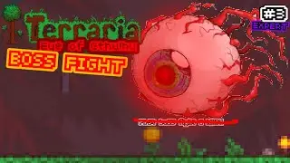 Deafeting eye of cthulhu expert mode | Terraria