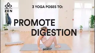 Yoga for Digestion