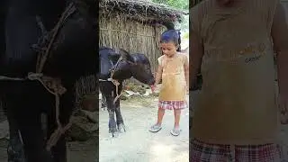Woh radha hai #shortvideo #shortsviral