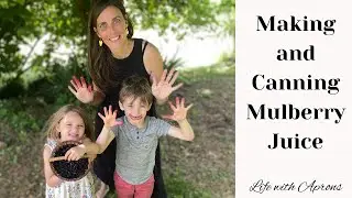Making and Canning Mulberry Juice