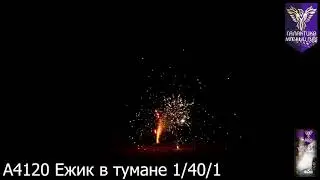 А4120 Ежик в тумане