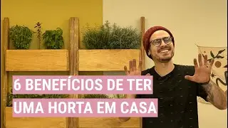 Como uma HORTA PODE MUDAR SUA VIDA | De Apê Novo