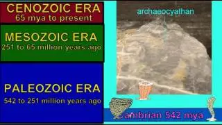 ARCHAEOCYATHANS: DISTRIBUTION IN GEOLOGIC TIME