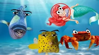 Oceanic Gegagedigedagedago meme