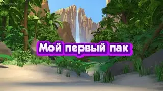 Мой первый пак