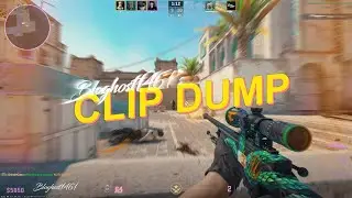 clipdump.mp4