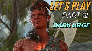 First-Time Dark Urge | Drow Sorcerer Wild Mage part 12