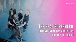Mom: The Real Superhero Behind Every Fun Adventure | Dubai Dolphin & Seal Show