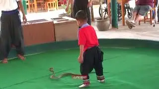 Boy Snake Charmer Bit In Balls