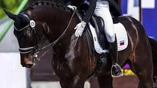 Вороные лошади/Black horse edit