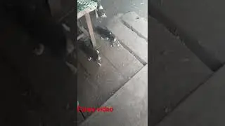 chori chori dil tera churaynge