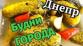 Днепр 🏣БУДНИ ГОРОДА ‼️Суп-без названия 🍛22 июля 2024 г.