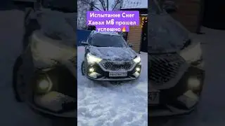 The Haval M6 rows well, no need for all-wheel drive) 