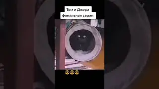 #юмор #приколы #день #wot #доктор #gta #футбол #конор #взрывбк #выходные
