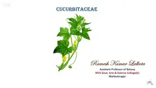 Cucurbitaceae Family