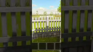 5 августа 2024 г.