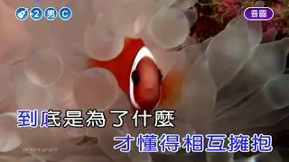 李玉刚 - 刚好遇见你 伴奏