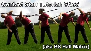 Contact Staff Tutorial: SNeS (Half Matrix)