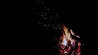 Sounds of night & crackling campfire 30 min