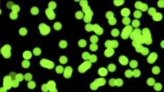 green bokeh lights