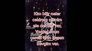 Kim bilir neler cekirem menim ele derdim var,Yoxdur onun caresi itkin dusen Sevgim var.