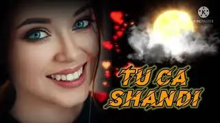 Ту ца шанди места мис шунт...       Tu ca shandi mesta mis shunt...