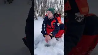 Клюнула и утащила живца 