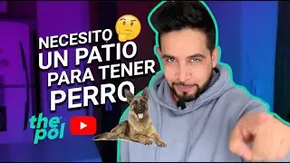 Es mejor que mi PERRO viva FUERA o DENTRO de CASA? 🏠 ✅