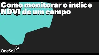 Como monitorar o índice NDVI de um campo