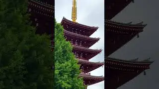 Tokyo in Motion: A Quick Tour Through the Metropolis  #travel #tokyo #japan