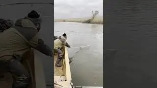 Огромный Сазан на 6 килограмм #рыбалка #сазан #fishing #fish #рыба #карась #щука #окунь #удочка