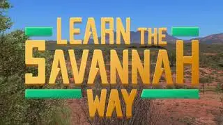 Top Drives | Learn the Savannah Way Update Teaser