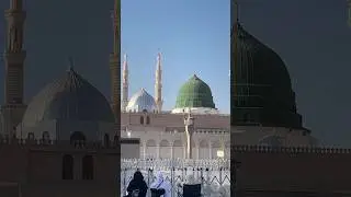 kya mangu Mustafa se 🤲🤲🤲🌹