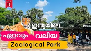 1400 Acres ലെ മൃഗശാലയിൽ കയറി കുടുങ്ങി | Vandalur zoological park #zoo #tiger #trending #chennaizoo